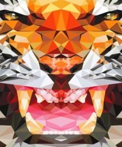 Mad Geometric Tiger Paint By Numbers