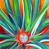 O Keeffe Pineapple Bud Paint By Numbers