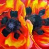 Oriental Poppies Georgia Okeeffe Paint By Numbers
