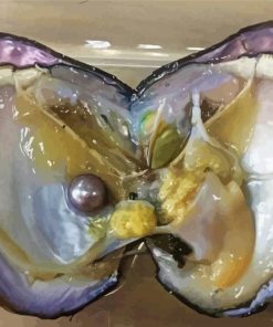 Oyster Shell Pearl Paint By Numbers