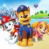 Paw Patrol Animation Paint By Number