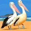 Black And White Pelicans paint By Numbers