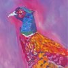 Pheasant Bird Art Paint By Number
