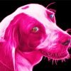 Pink Beagle Paint By Number