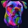 Pitbull Colorful Dog paint by numbers