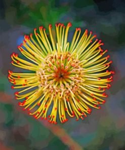 Pincushion Protea Paint By Numbers