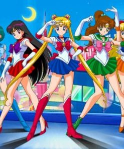 Sailor Moon Characters Paint By Numbers