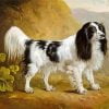 Aesthetic Springer Spaniel Dog Paint By Number