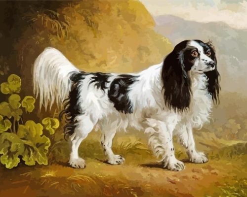 Aesthetic Springer Spaniel Dog Paint By Number
