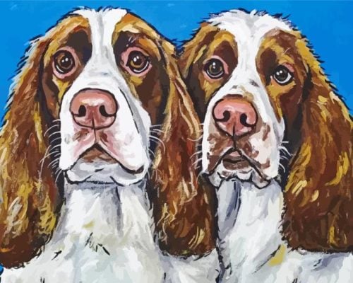 Springer Spaniel Dogs Paint By Number