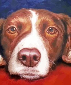 Springer Spaniel Art Paint By Number