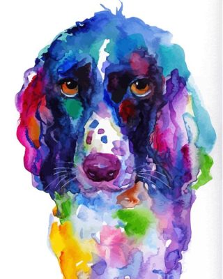 Colorful Springer Spaniel Paint By Number