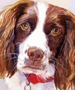Springer Spaniel Dog Paint By Number