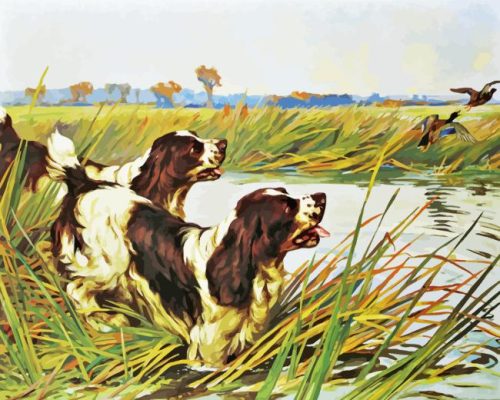 Springer Spaniels Paint By Number