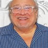 Danny Devito Paint By Numbers