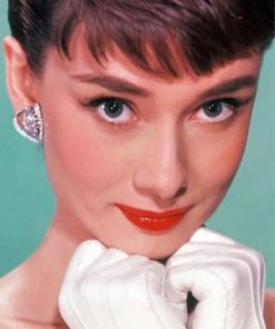 The Beautiful Audrey Hepburn Paint By Number