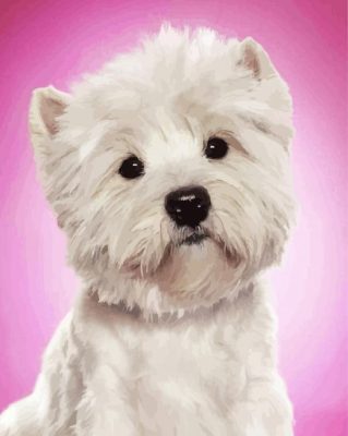 The West Highland Terrier Dog Paint By Number