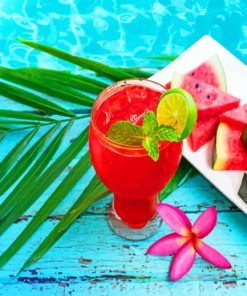 Watermelon Cocktail Paint By Numbers