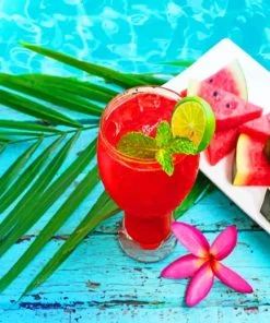 Watermelon Cocktail Paint By Numbers