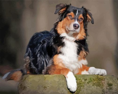 Aesthetic Aussie Dog Paint By Number