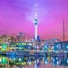 Auckland Night Paint By Number