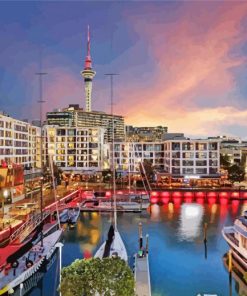 Auckland At Night New Zealand Paint By Number