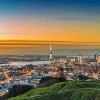 Auckland City Paint By Number