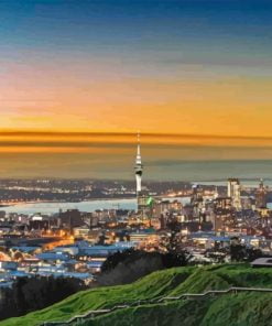Auckland City Paint By Number