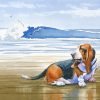 Basset At The Beach Paint By Numbers