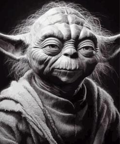 Black And White Yoda paint by number