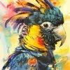 Black Cockatoo Bird Art Paint By Number
