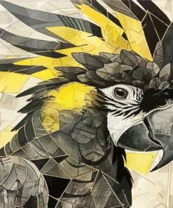 Black Cockatoo Bird Paint By Number
