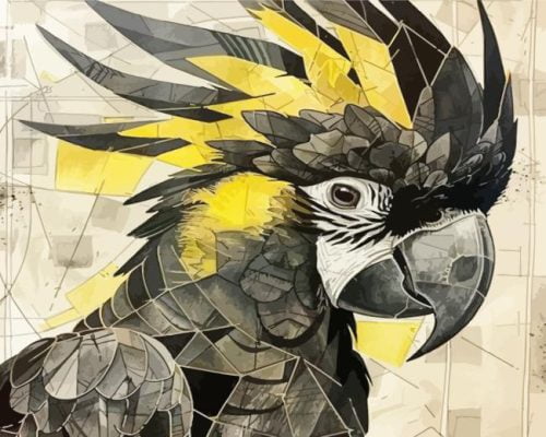 Black Cockatoo Bird Paint By Number
