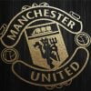 Black Manchester United Logo Paint By Numbers