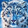 Blue Eyes Snow Leopard paint by number