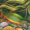 Brook Trout Fish Underwater Paint By Numbers