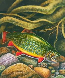 Brook Trout Fish Underwater Paint By Numbers