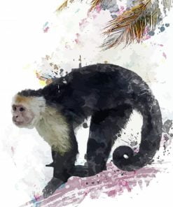 Capuchin Monkey Paint By Number