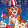 Dog Celebrating 4th Of July Paint By Number