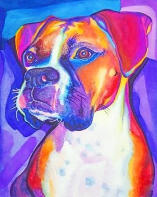 Colored Boxer Dog Paint By Number