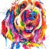 Colorful Goldendoodle paint by numbers