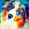 Colorful Mini Australian Shepherd Paint By Number