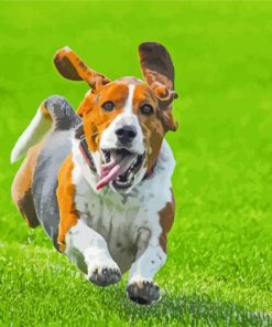 Cute Basset Hounds Animal Paint By Number