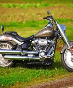 Harley Davidson Fat Boy Paint By Numbers