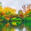 Gapstow Bridge Central Park Paint By Numbers