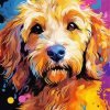 Goldendoodle Puppy Art paint by numbers