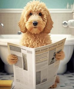 Goldendoodle Reading Newspaper paint by number