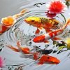 Koi In Fishpond Paint By Numbers