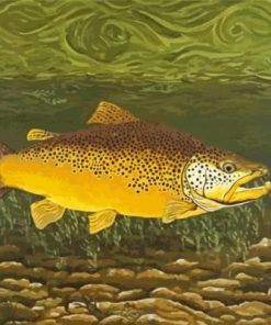 Lake Trout Fish Paint By Numbers