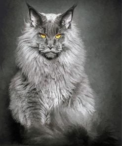 Maine Coon Cat Paint By Number